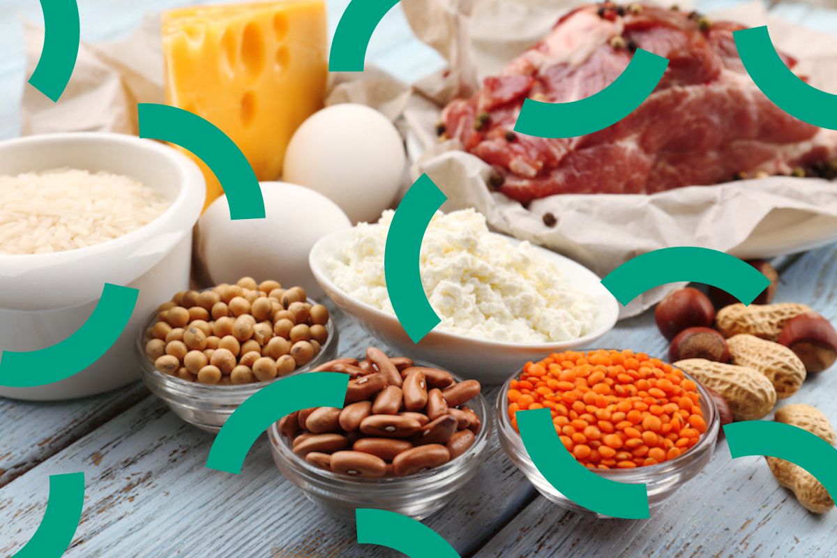 Nutrition Basics: Protein 101