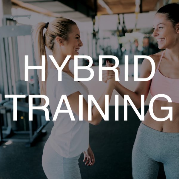 hybrid trainer hybrid training pfel03815