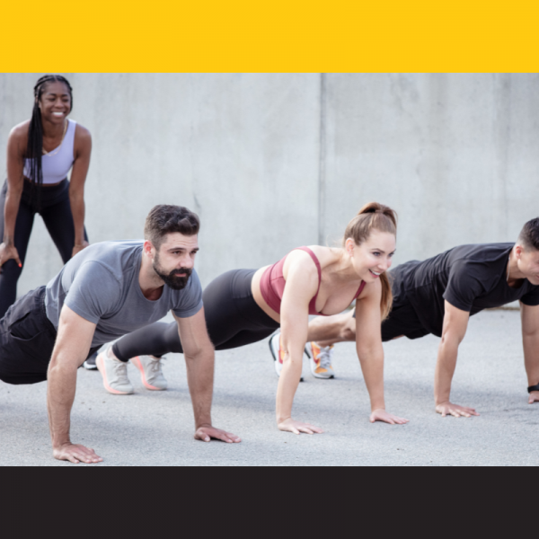 trainerize vs truecoach vs everfit for online coaches